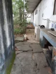 Jogados
