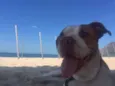 Meg