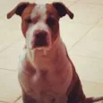 Meg