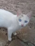 Mimi