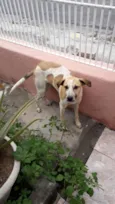 Não tem