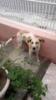 Não tem