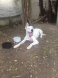 sem nome - achado