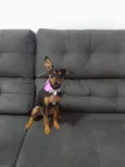 Lua