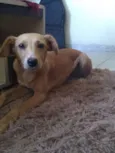 Zoe