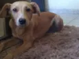 Zoe