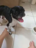 Billy