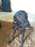 Suzan
