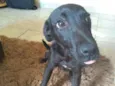 Suzan