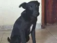 Nego
