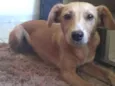 Zoe