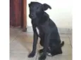 Nego