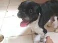 Billy