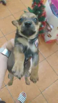 Não tem nome