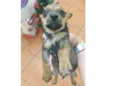 Não tem nome