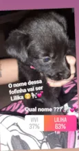 Lilika