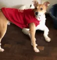 Léo