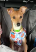 Léo