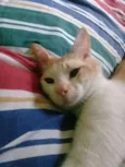 Bebê