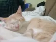 Bebê