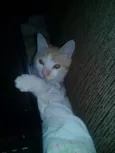 Bebê