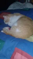Bebê
