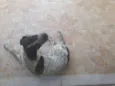 Não sei