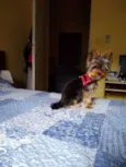 Billy 
