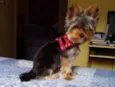 Billy 