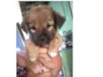 Sem nome