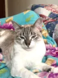 Catharina