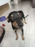 Chiquinho