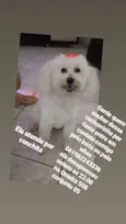 Conchitta