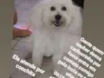 Conchitta