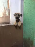 Nikita