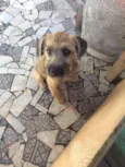Nikita
