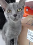 LUA