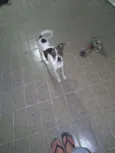 BOLT