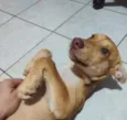 Mel