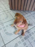 Mel