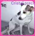 Cristal