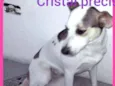 Cristal