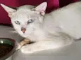 Ferrero