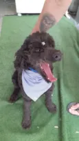 Bilú
