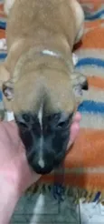 Molly