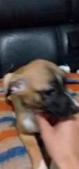 Molly