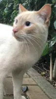 Pepe belissimo e car