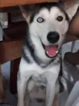 Zeus