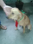 Boris