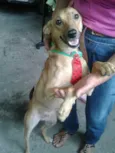 Boris